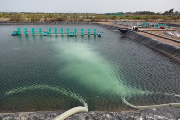 水産養殖