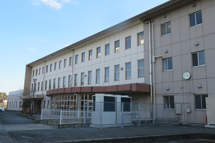 A Municipal Elementary School